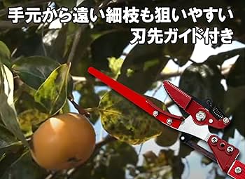 さるきち Amazon | 千吉(Senkichi) 強力型 角形 アルミパイプ柄 刈込鋏